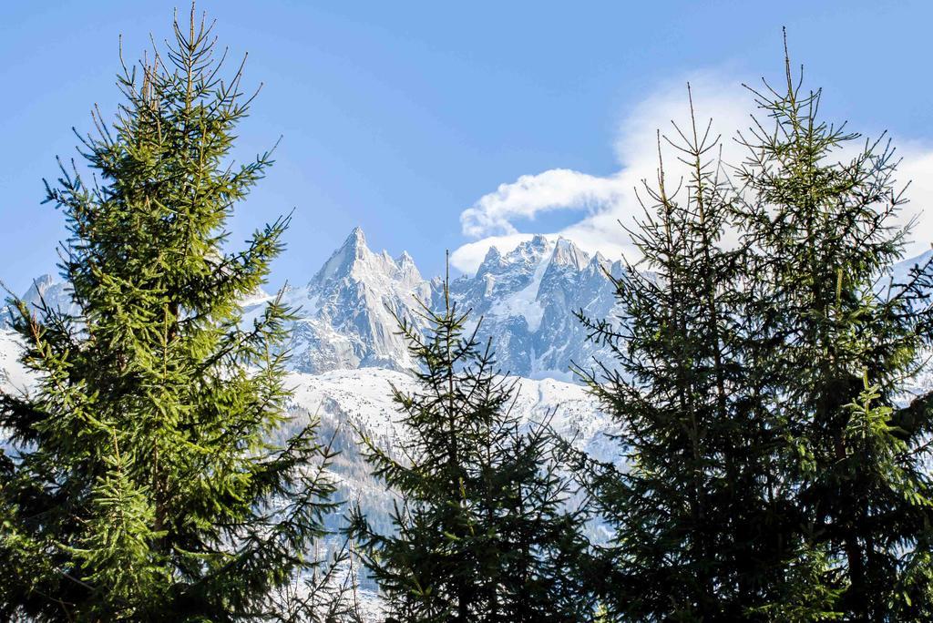 Chalet La Source - Chamonix All Year Bagian luar foto